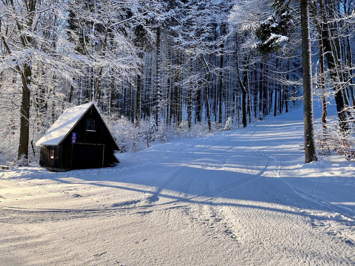 Haus Donnerberg Rehefeld Lejlighed Altenberg Eksteriør billede
